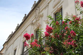 Main Building and pink flowers